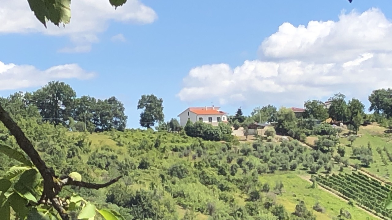 Photo of Outdoor in Cermignano