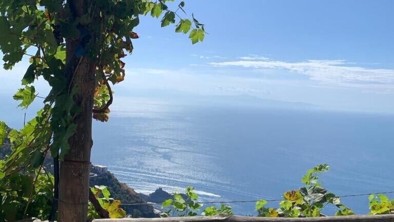 Photo of Outdoor in San Michele