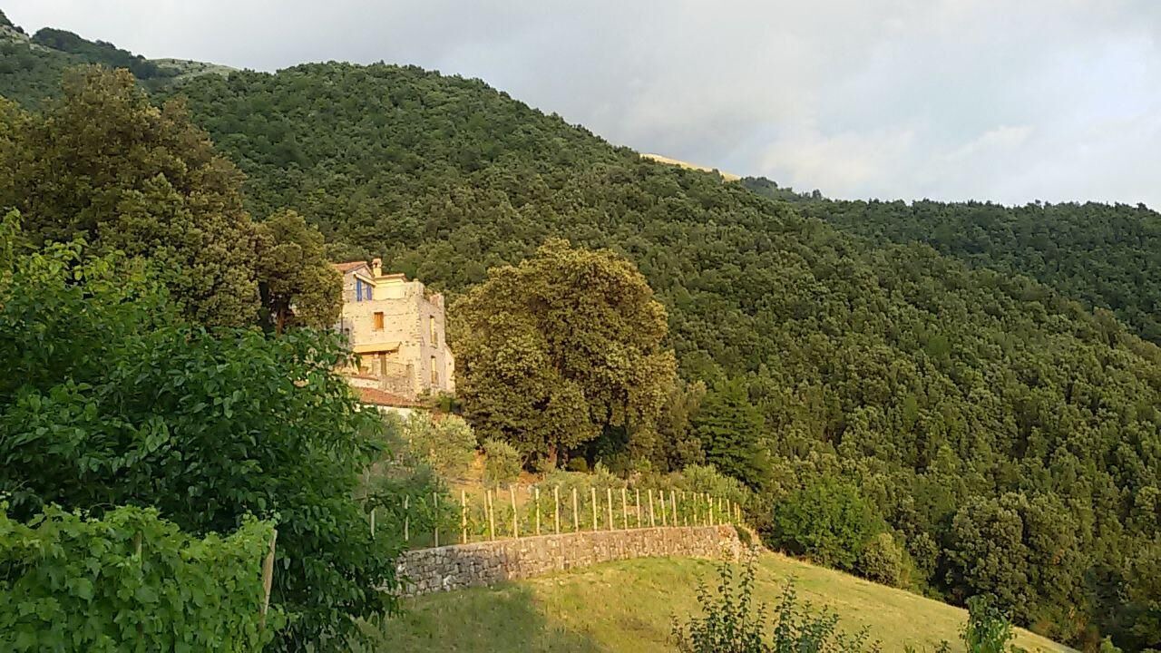 Photo of Outdoor in Tortorella
