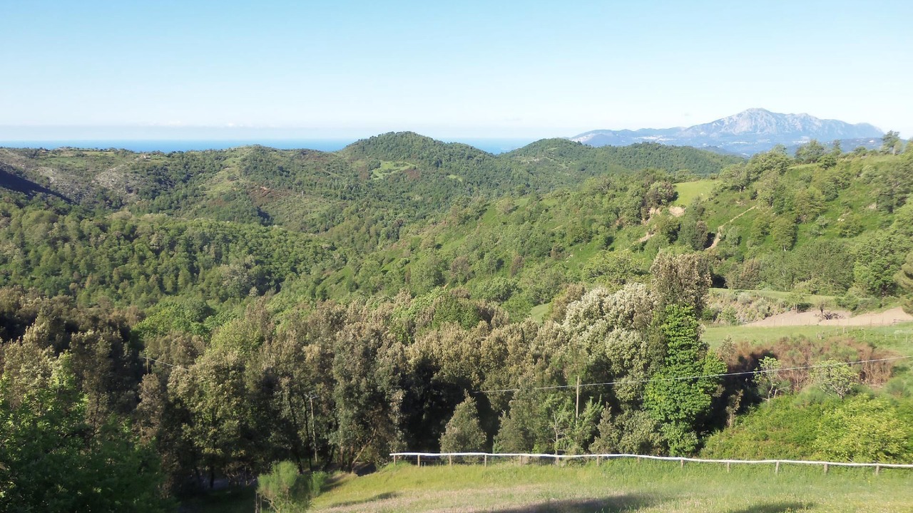 Photo of Outdoor in Tortorella