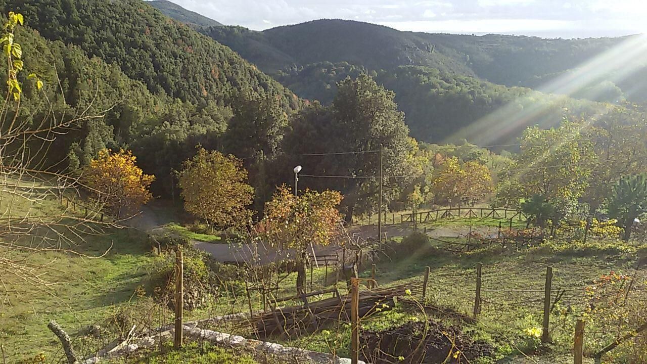 Photo of Outdoor in Tortorella