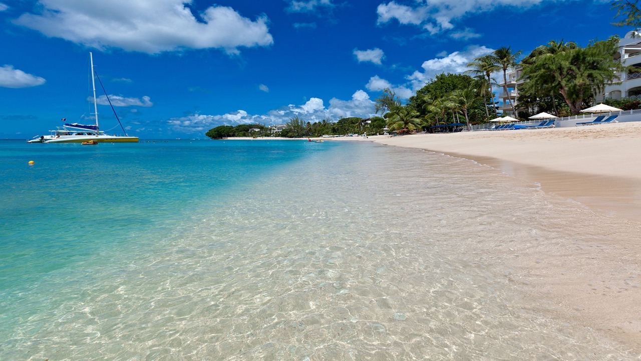 Photo of Others in Old Trees Bay