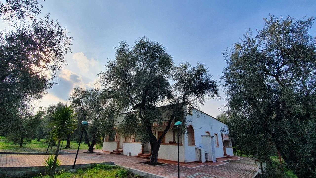 Photo of Outdoor in Montincello