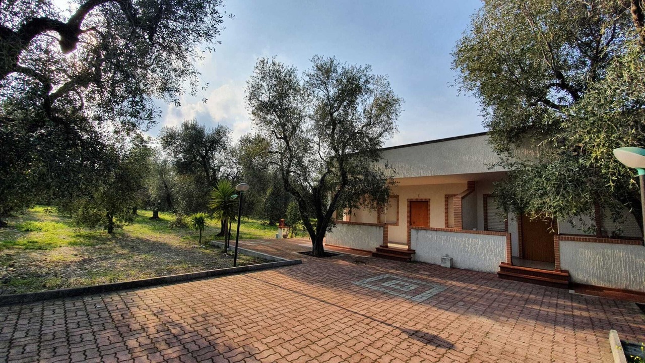 Photo of Outdoor in Montincello