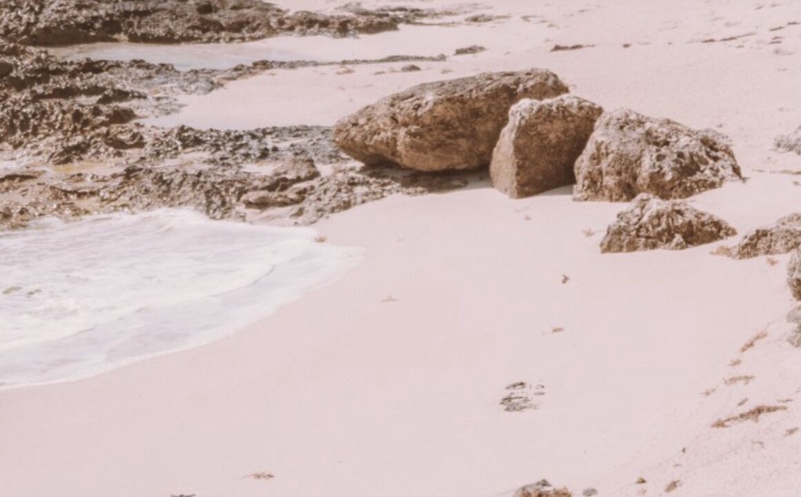 Photo of Others in Atlantic Shores