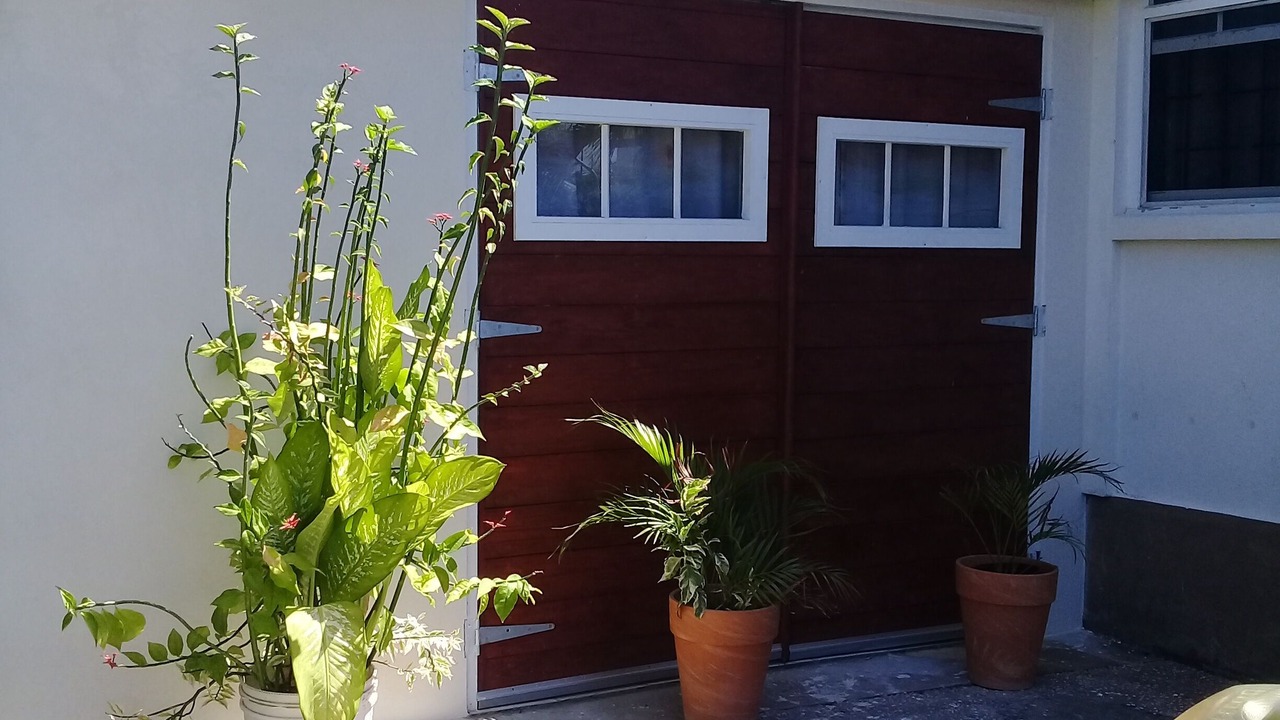 Photo of Outdoor in Atlantic Shores