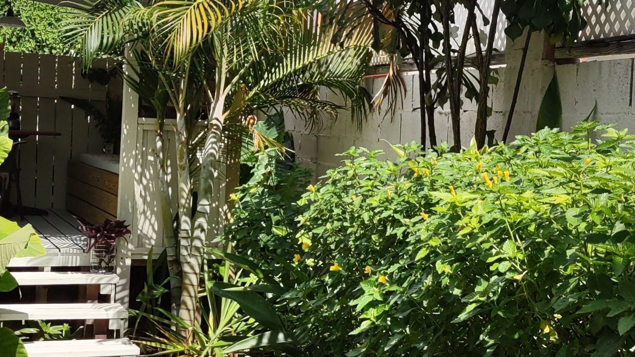 Photo of Outdoor in Atlantic Shores