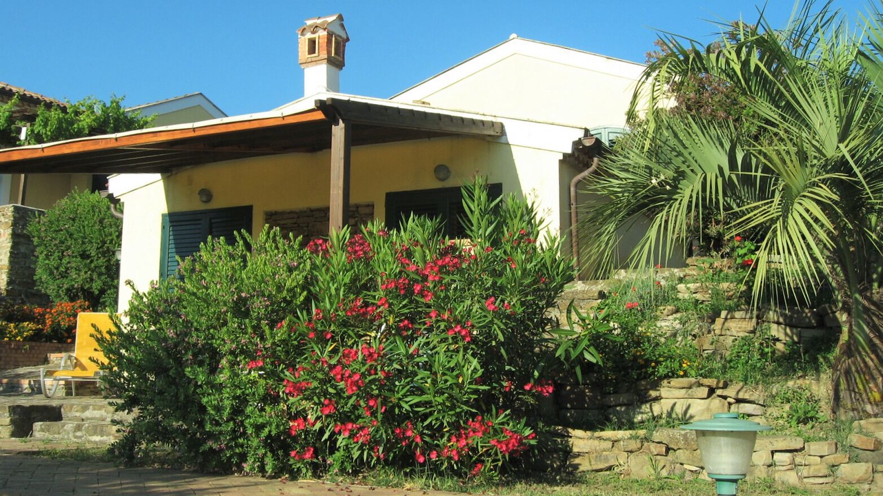 Photo of Outdoor in Alani