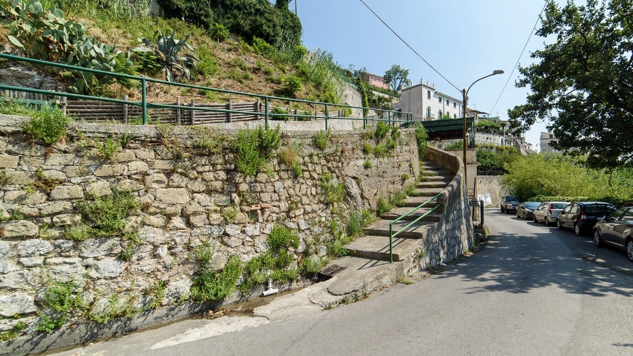 Photo of Outdoor in Raito