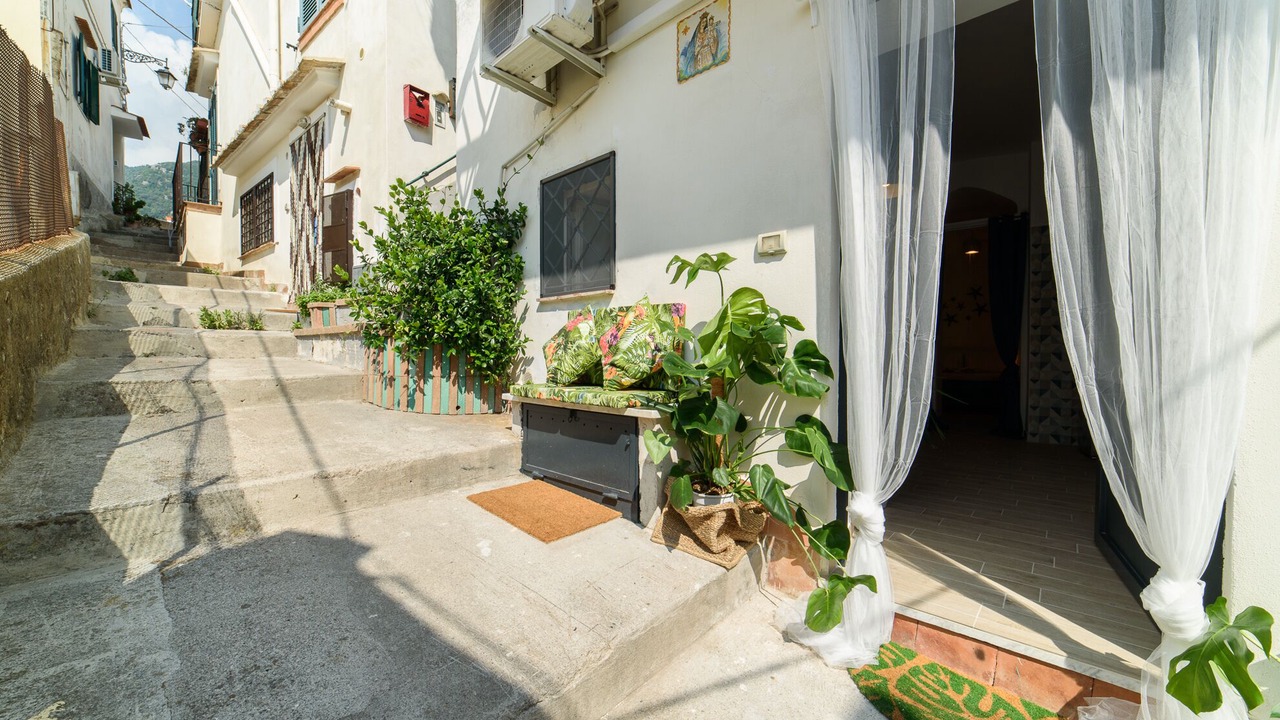 Photo of Outdoor in Raito