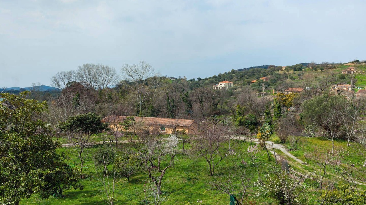 Photo of Others in Ceraso