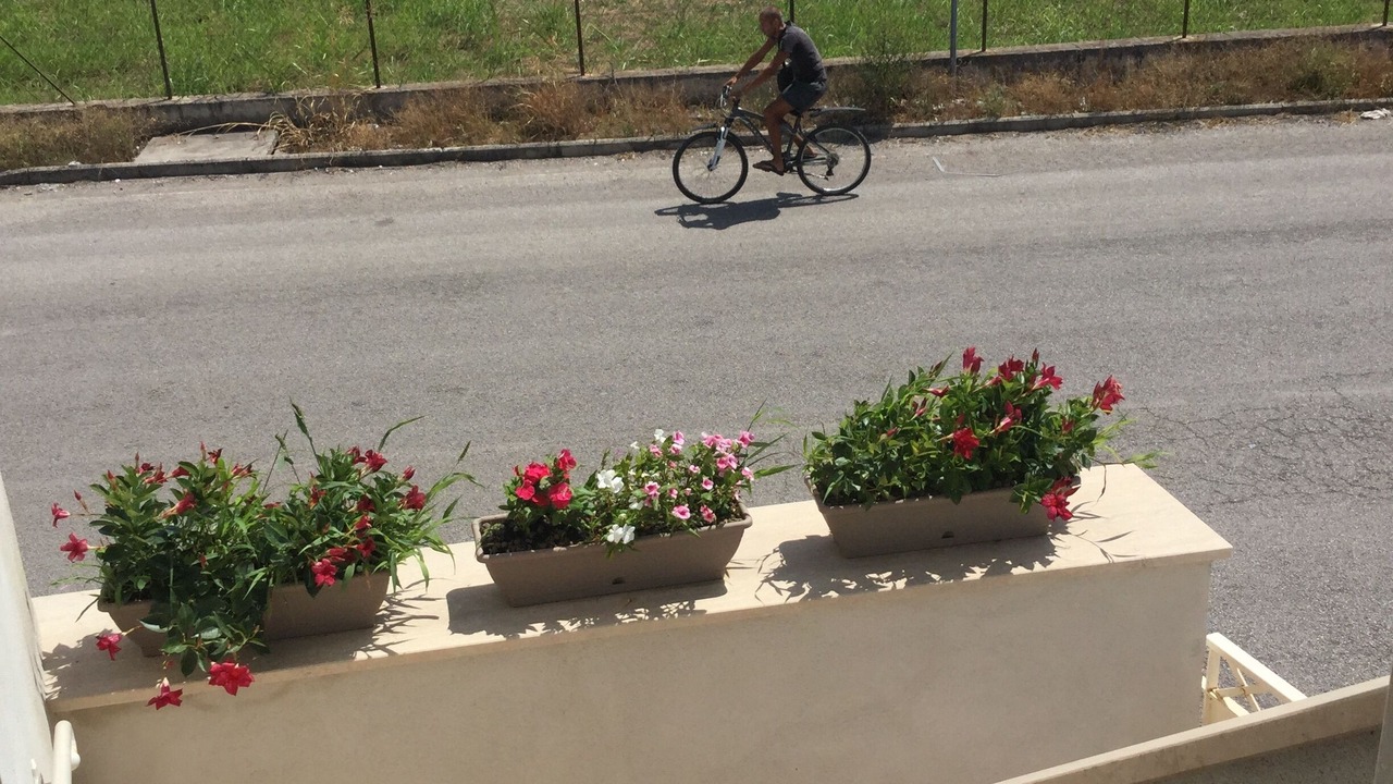 Photo of Outdoor in Pontecagnano Faiano