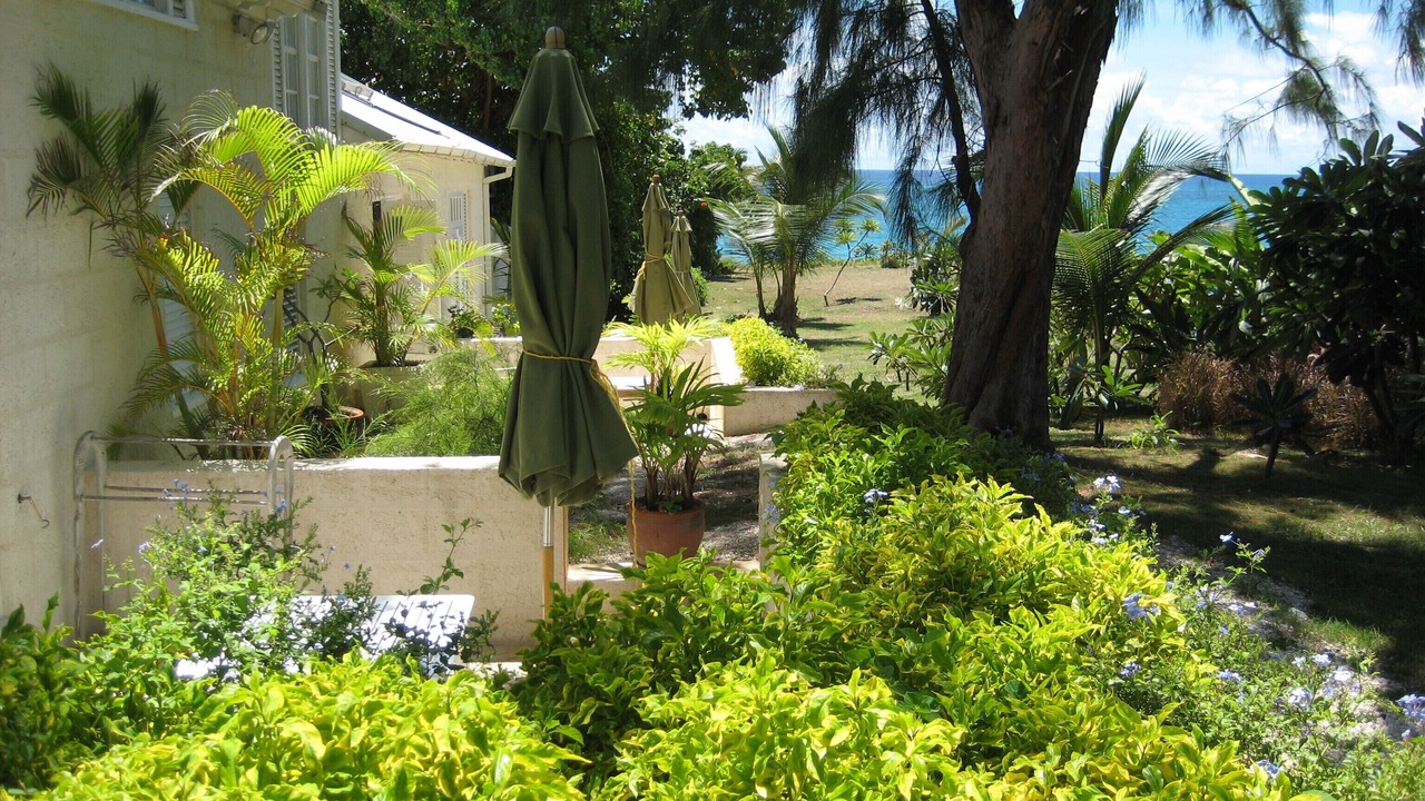 Photo of Outdoor in Silver Sands