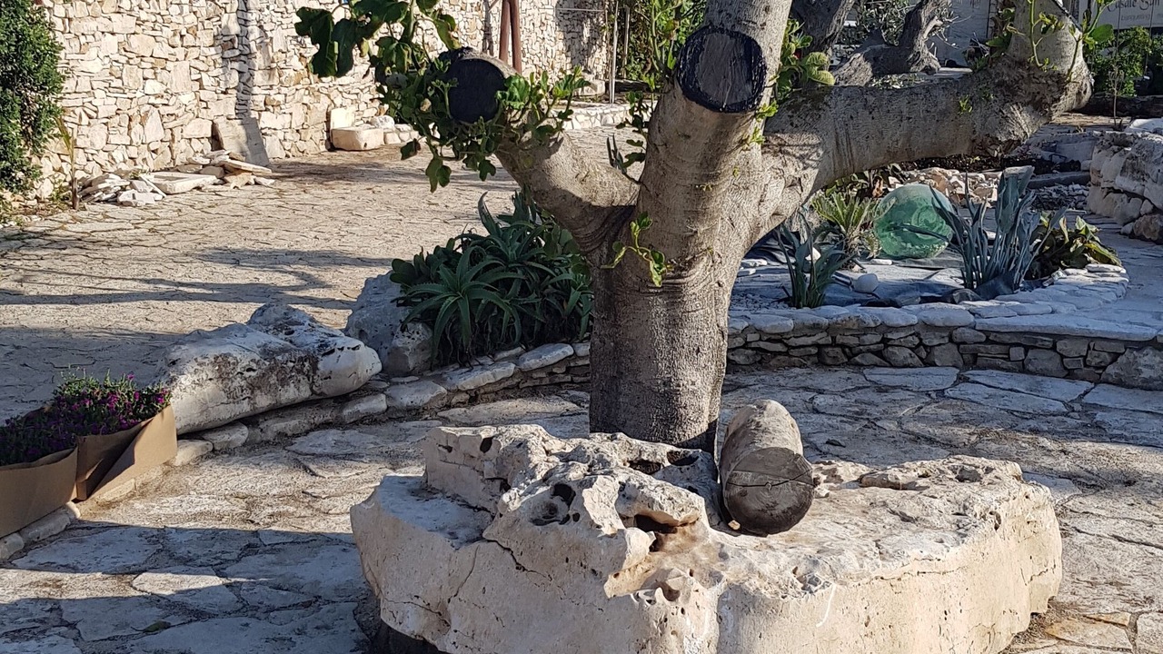 Photo of Outdoor in Molfetta