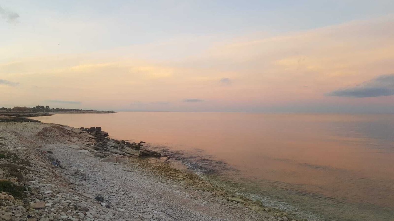 Photo of Others in Molfetta