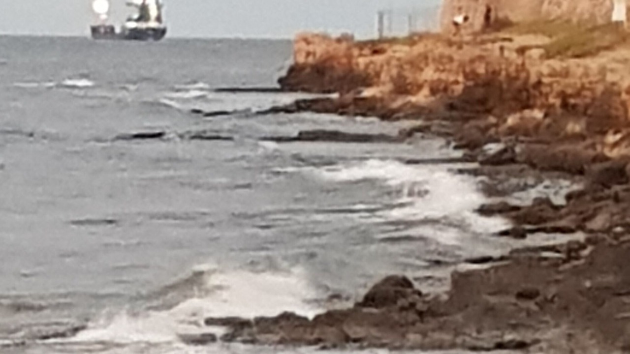 Photo of Others in Molfetta