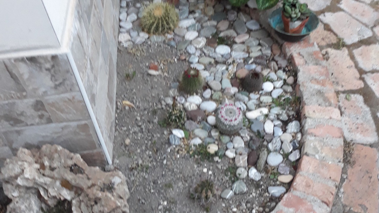 Photo of Outdoor in Boscotrecase