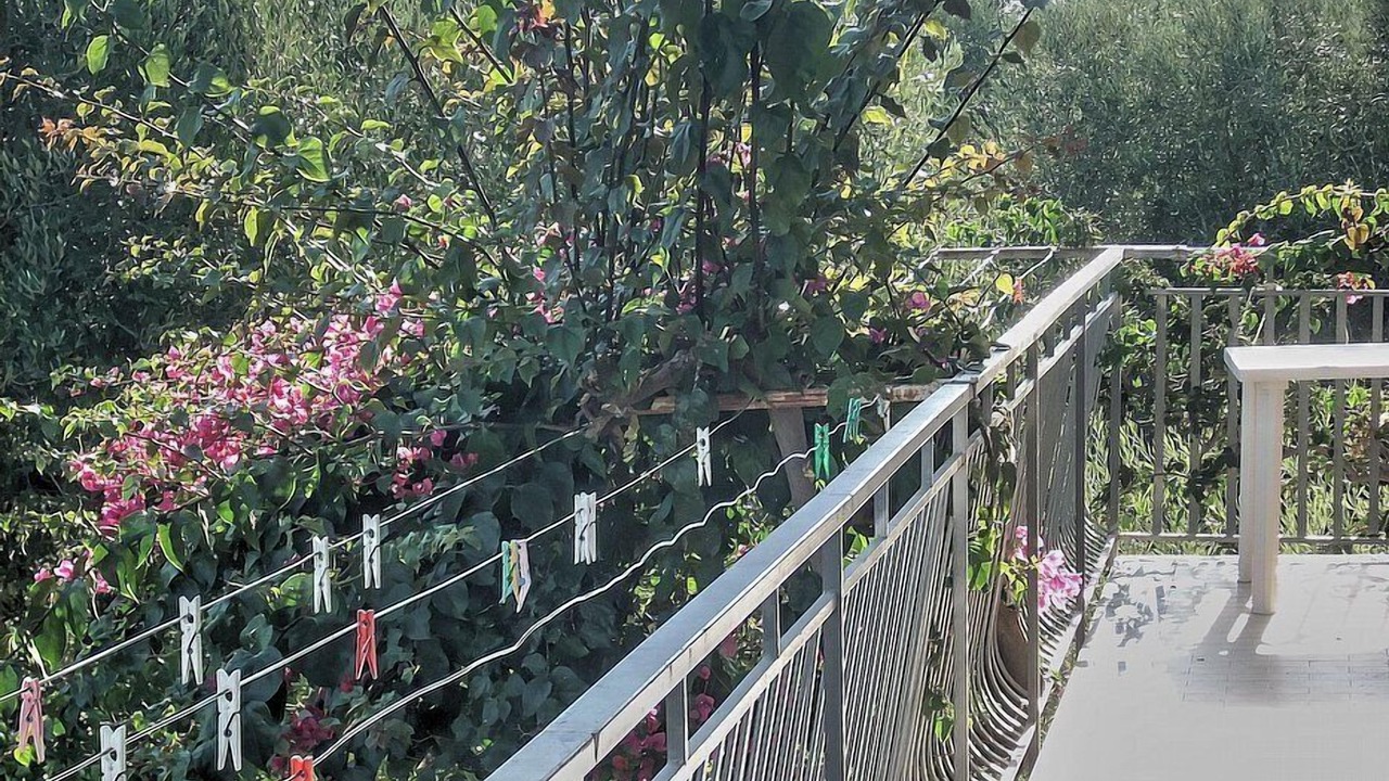 Photo of Outdoor in Marina di Ascea