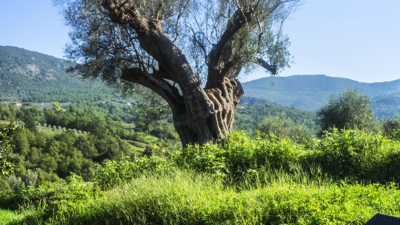 Photo of Outdoor in Santa Marina