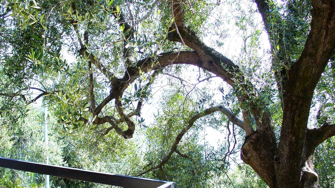 Photo of Outdoor in Marina di Pisciotta