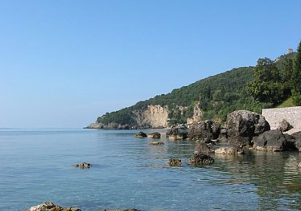 Photo of Others in Scario