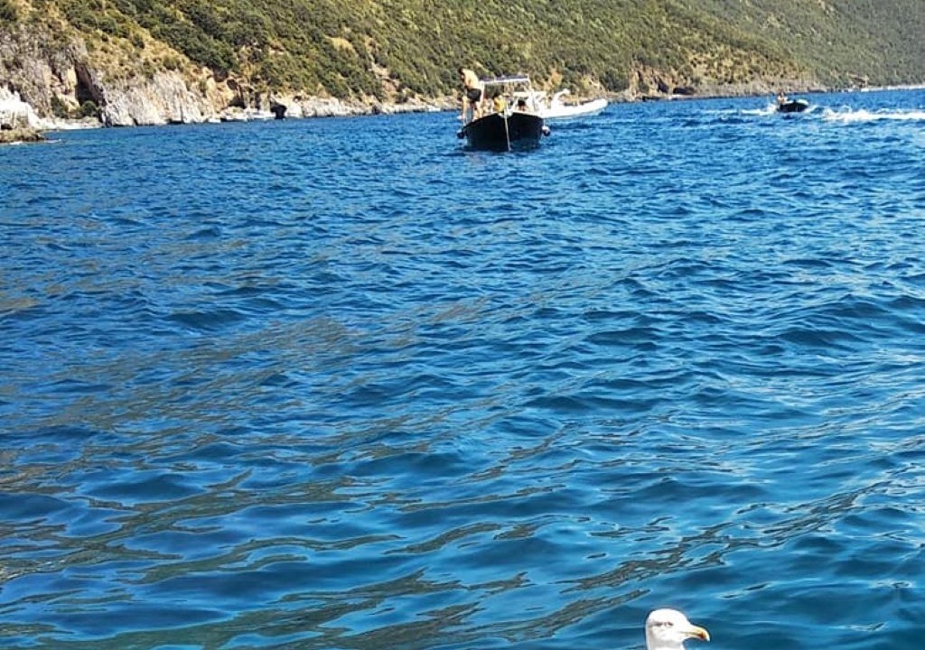 Photo of Others in Scario