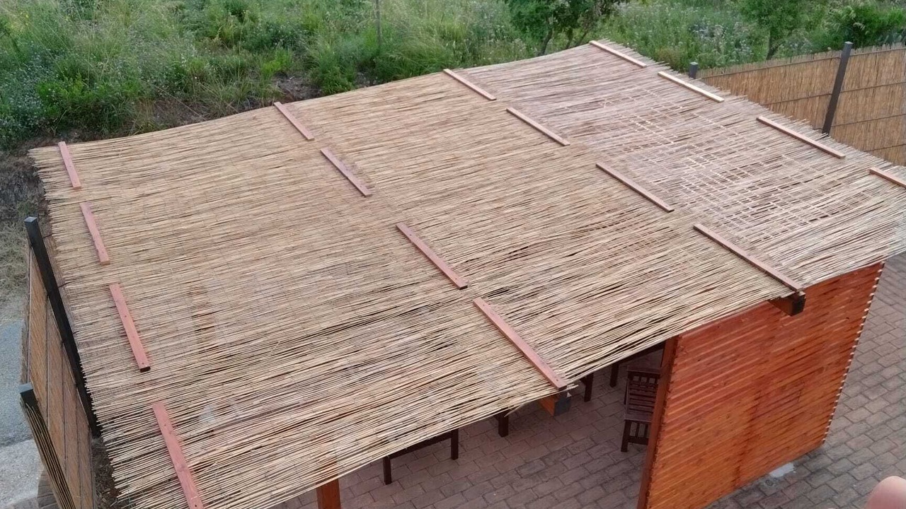 Photo of Outdoor in Pisciotta