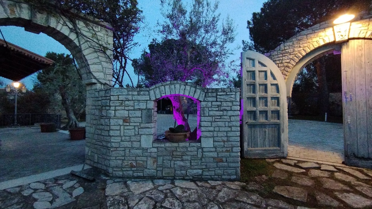 Photo of Outdoor in Trani