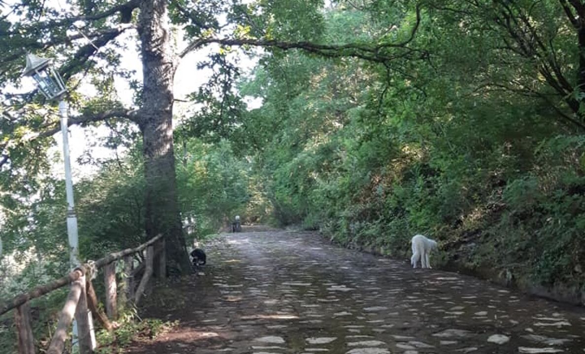 Photo of Outdoor in Tortorella
