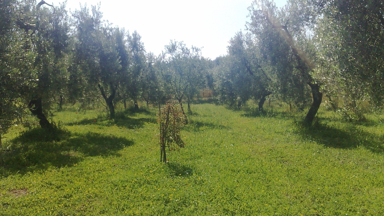 Photo of Outdoor in Ischitella