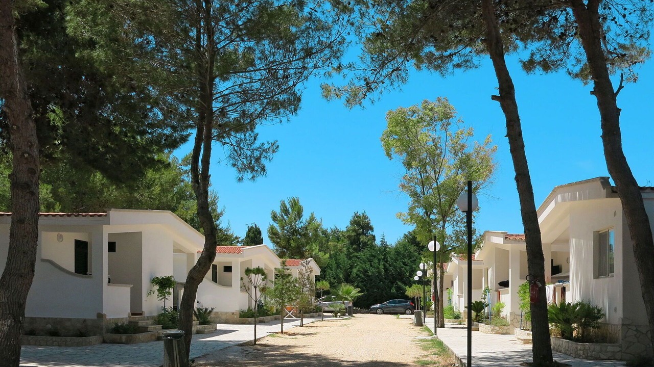 Photo of Others in Montincello