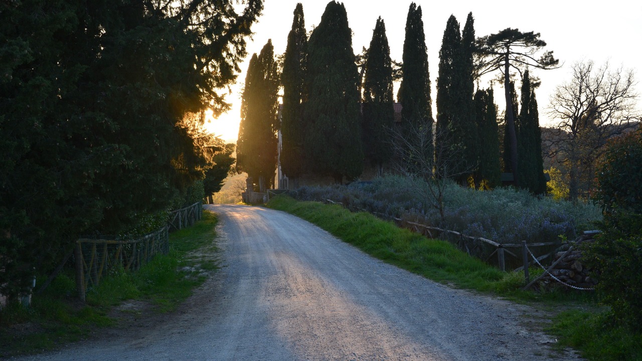 Photo of Outdoor in Rosennano