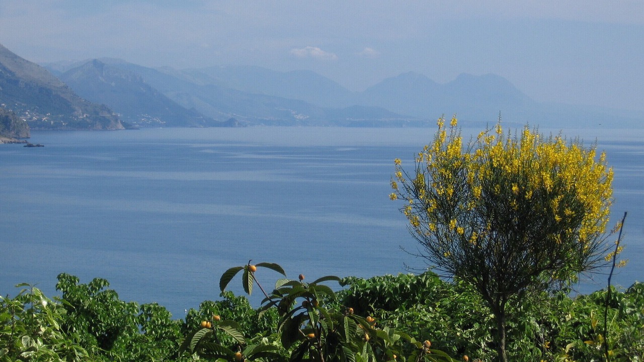 Photo of Others in Villammare