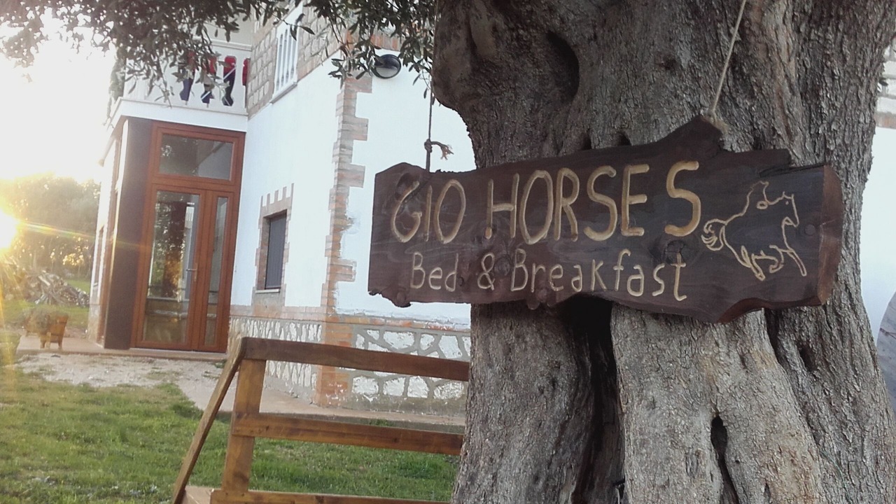 Photo of Outdoor in San Nicandro Garganico