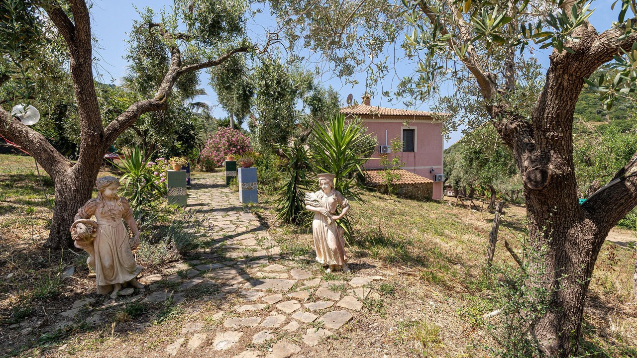 Photo of Others in San Mauro Cilento