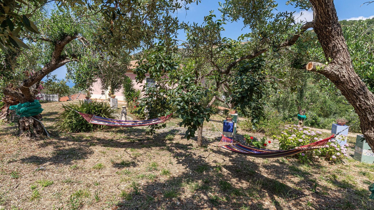 Photo of Others in San Mauro Cilento