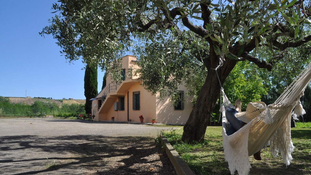 Photo of Outdoor in Collecorvino
