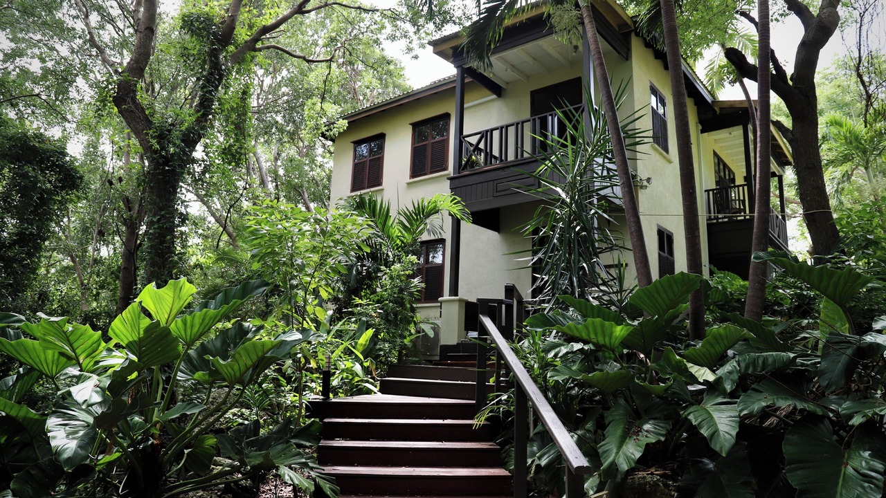 Photo of Outdoor in White Hall