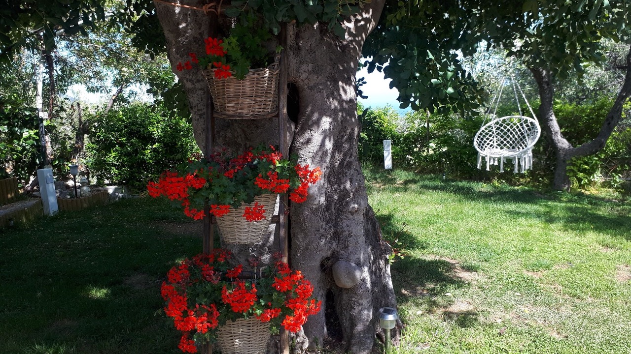 Photo of Outdoor in Monte Sant'Angelo