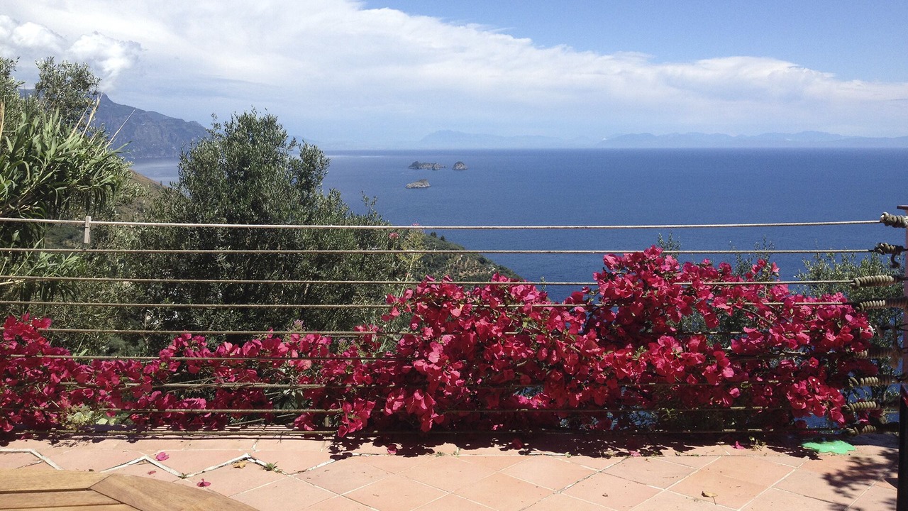 Photo of Outdoor in Nerano