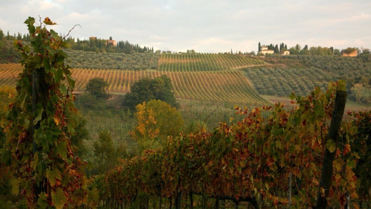 Photo of Others in Tavarnelle Val di Pesa