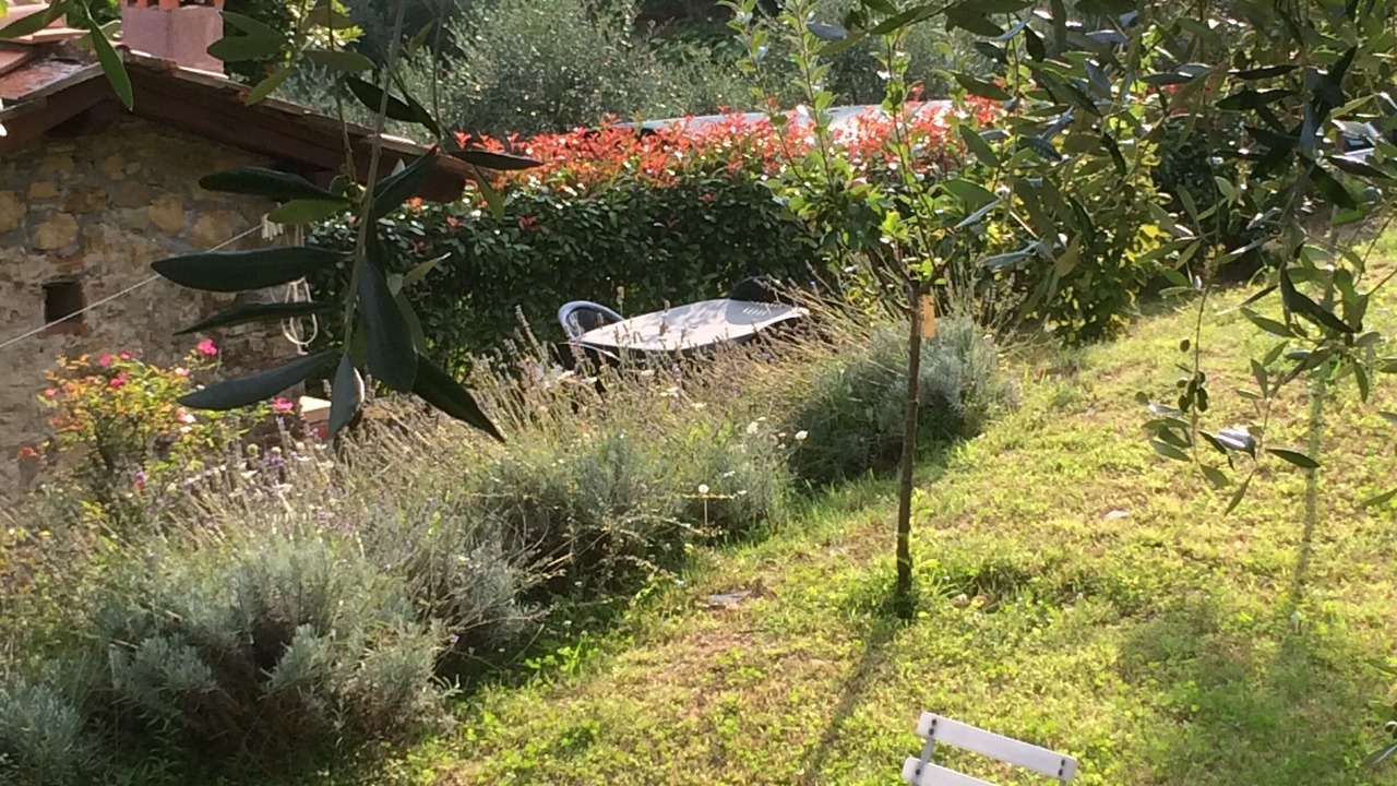 Photo of Outdoor in Aquilea