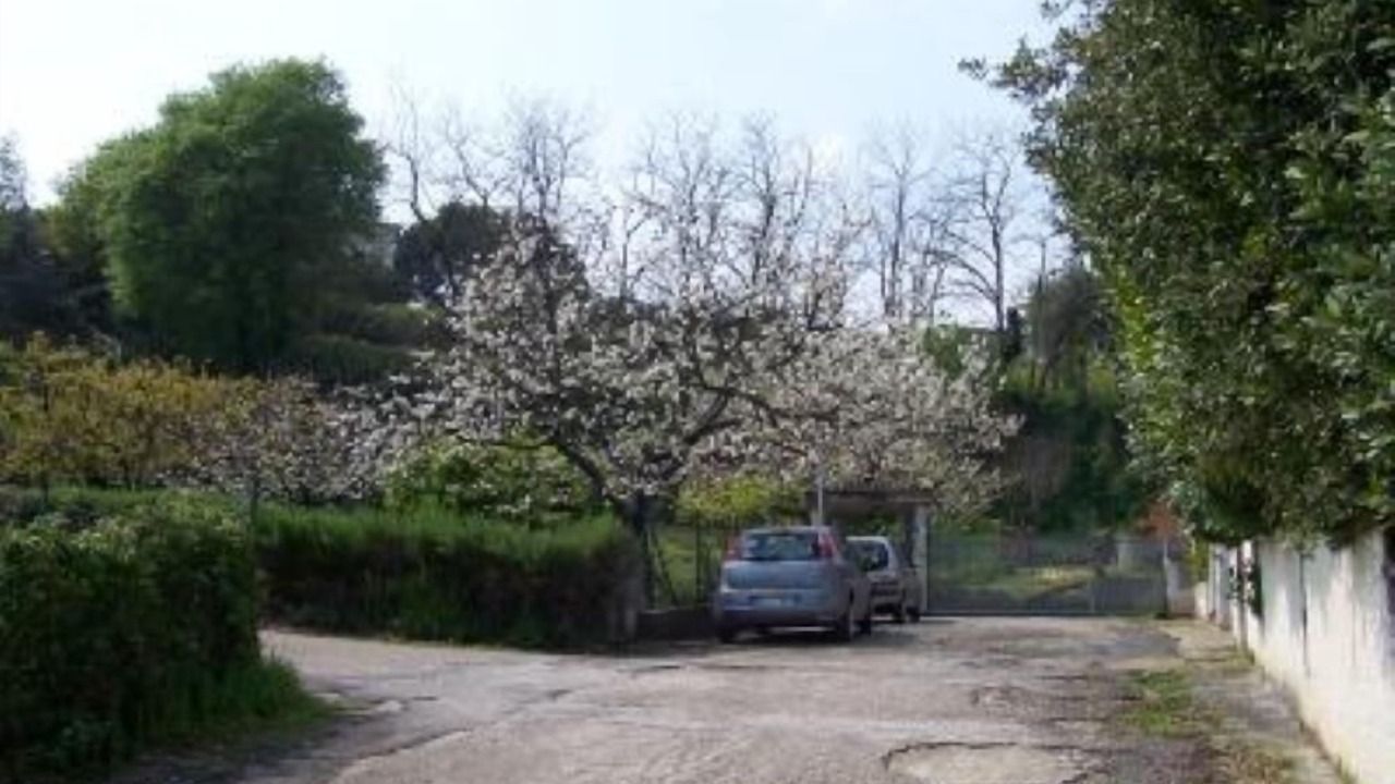Photo of Outdoor in Francavilla al Mare