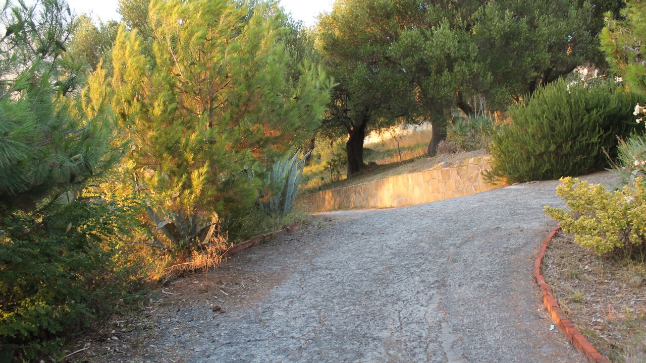 Photo of Outdoor in Caprioli
