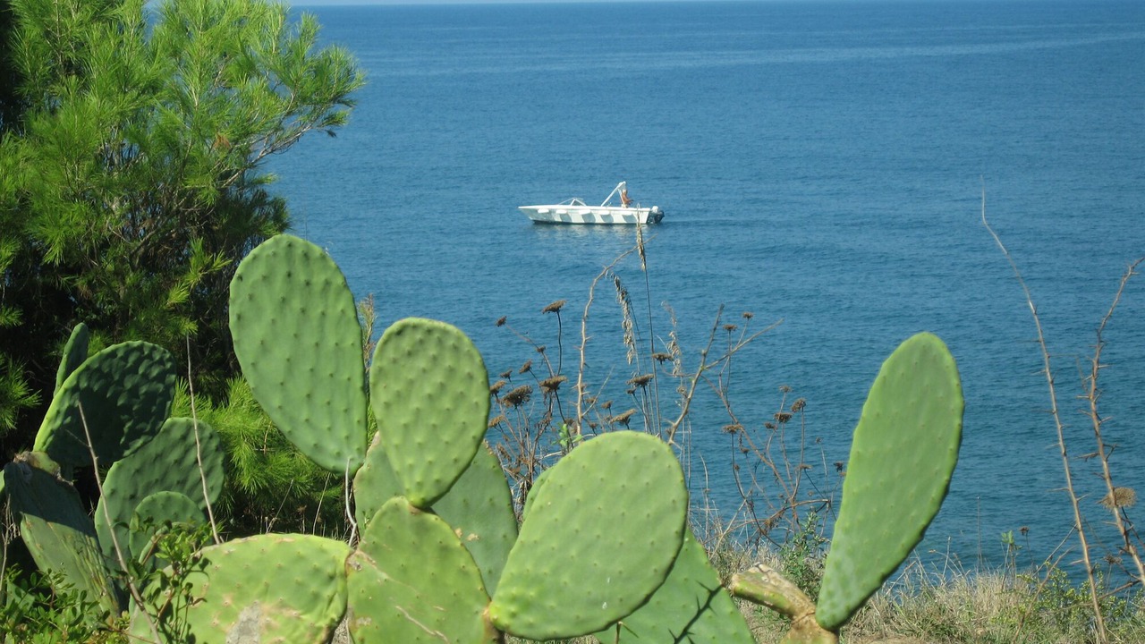 Photo of Others in Alani