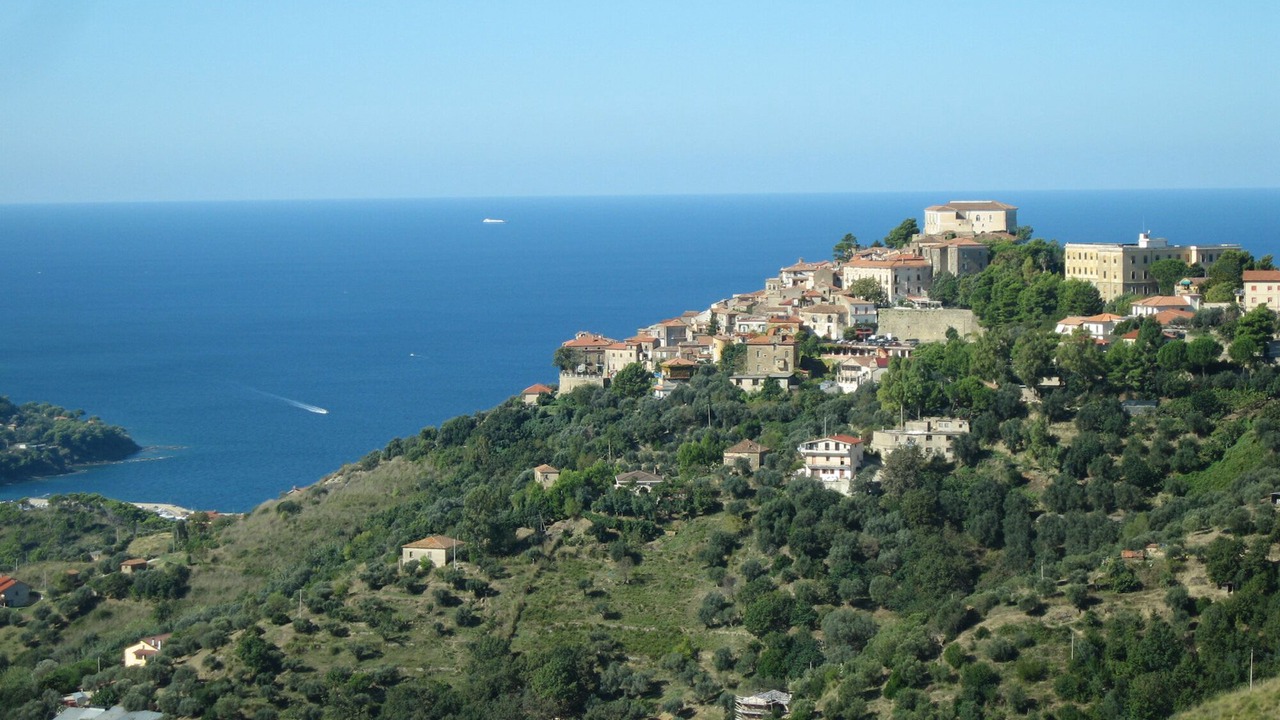 Photo of Outdoor in Alani