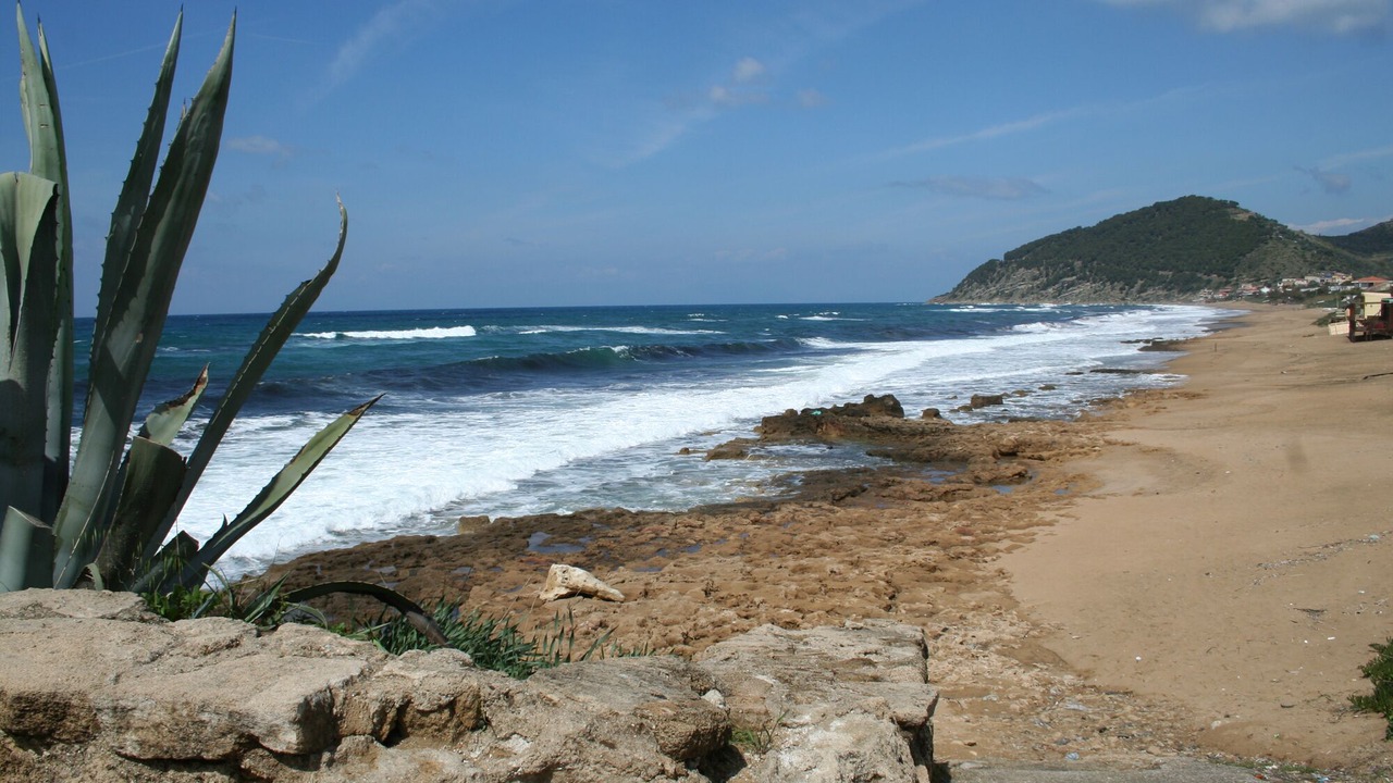Photo of Others in Alani
