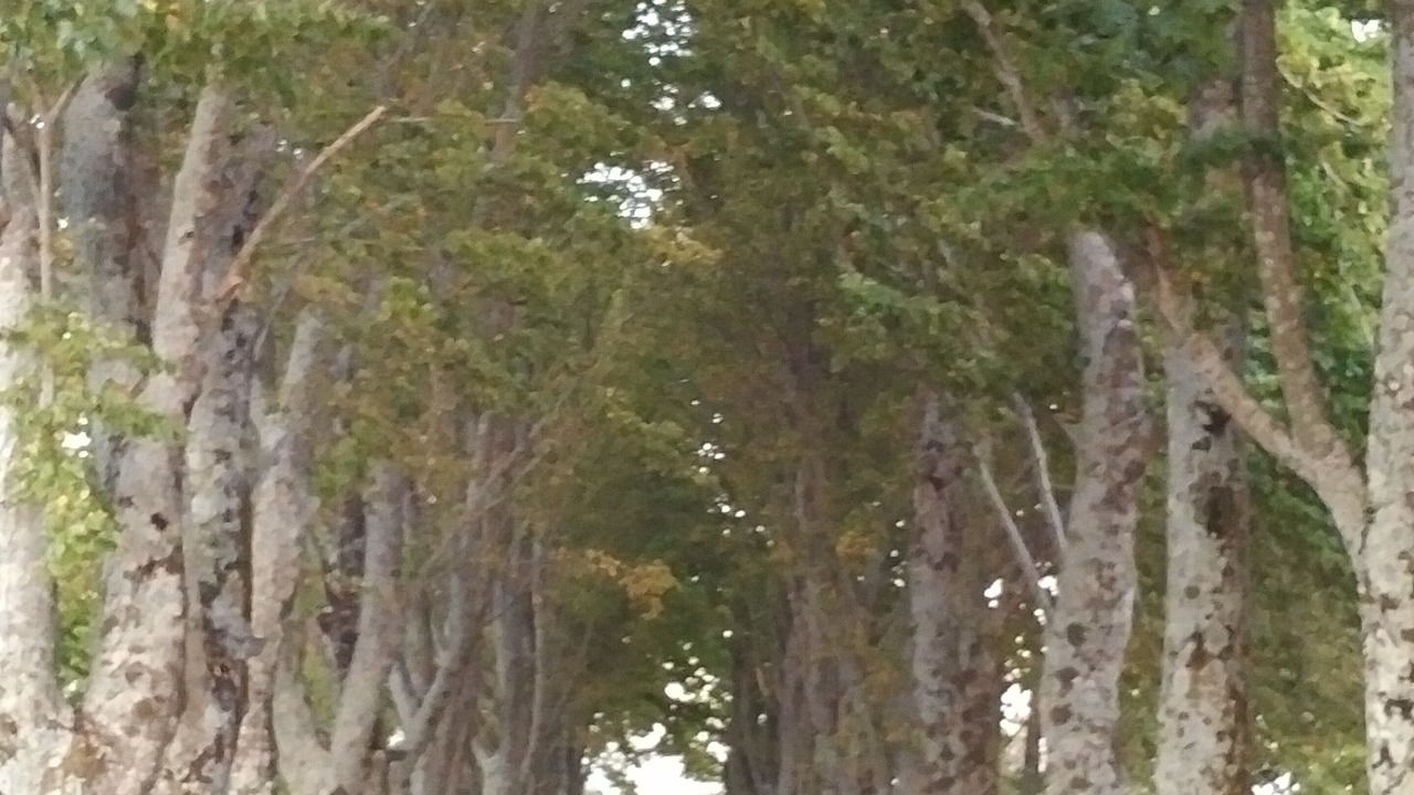 Photo of Outdoor in San Lazzaro