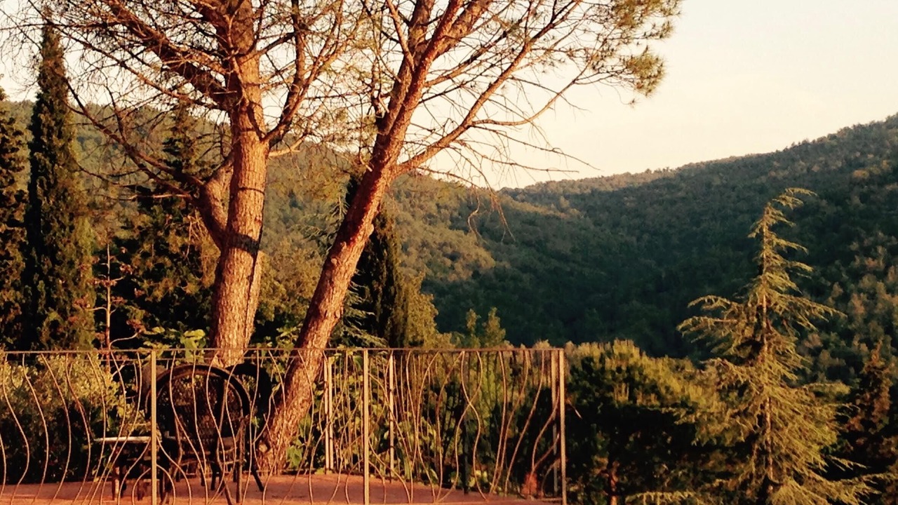 Photo of Others in Castellina in Chianti