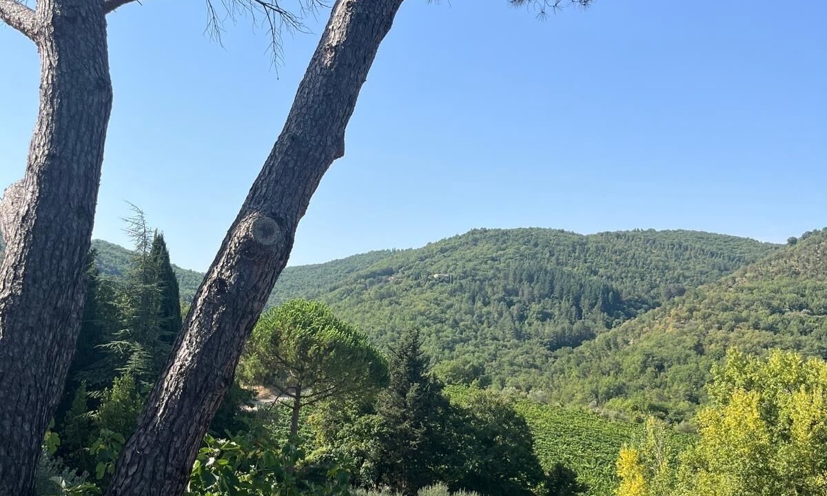 Photo of Others in Castellina in Chianti